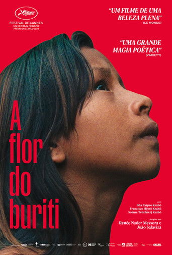 Assistir A Flor do Buriti online dublado e legendado