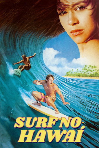 Poster de Surf no Hawaí