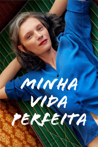 Assistir Minha Vida Perfeita online dublado e legendado