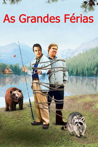 Poster de As Grandes Férias