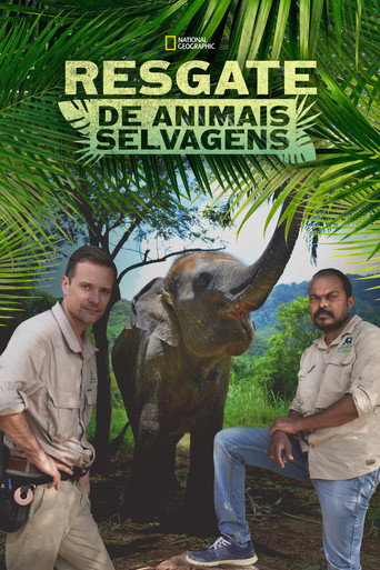 Assistir Heróis da Selva online dublado e legendado