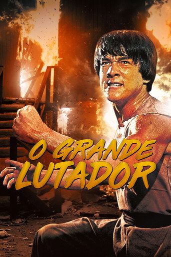 Poster de O Grande Lutador