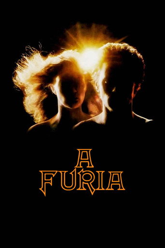 Poster de A Fúria