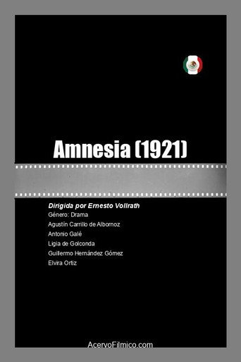 Assistir Amnesia online dublado e legendado