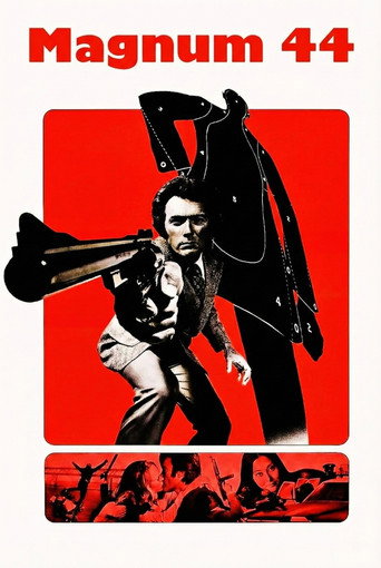 Poster de Magnum 44