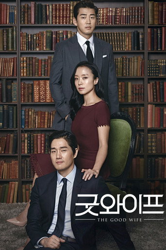 Assistir The Good Wife online dublado e legendado