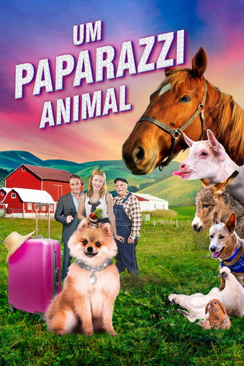 Assistir Um Paparazzi Animal online dublado e legendado