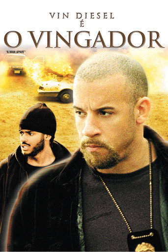 Poster de O Vingador