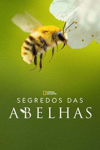 Assistir Segredos das Abelhas online dublado e legendado