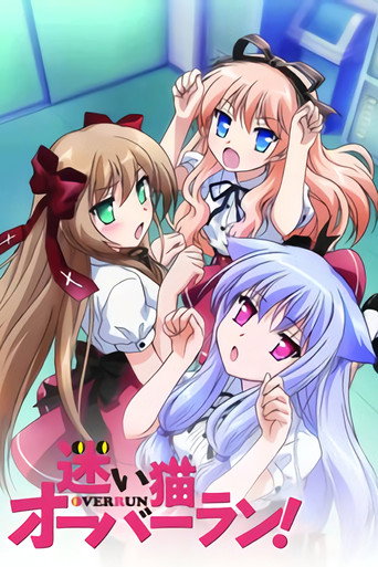 Assistir Mayoi Neko Overrun online dublado e legendado