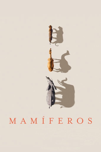 Poster de Mamíferos