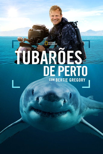 Assistir Tubarões de Perto com Bertie Gregory online dublado e legendado