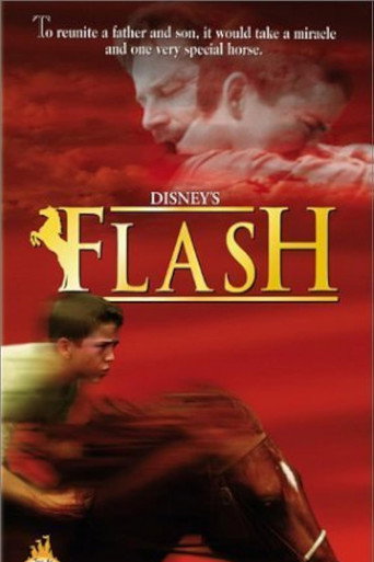 Assistir Meu Amigo Flash online dublado e legendado