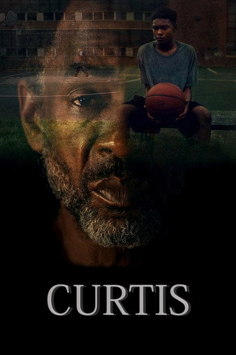 Assistir Curtis online dublado e legendado
