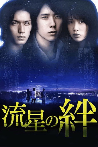 Assistir Laços de Estrelas Cadentes online dublado e legendado
