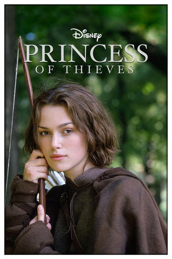Poster de A Princesa dos Ladrões