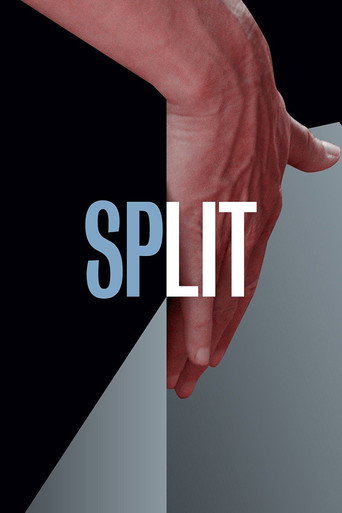 Assistir Split online dublado e legendado