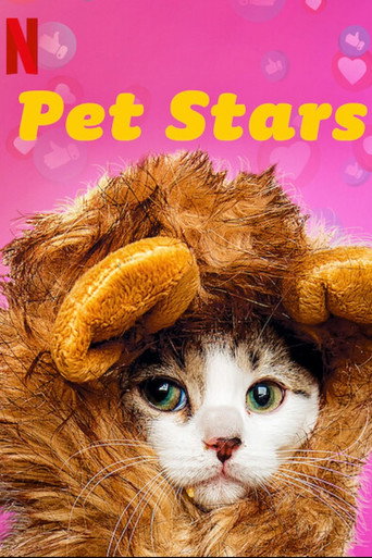 Assistir Pet Stars online dublado e legendado
