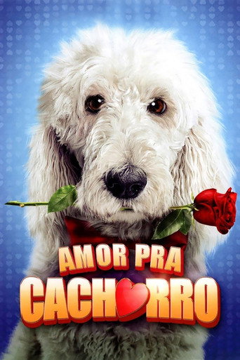 Assistir Amor Pra Cachorro online dublado e legendado