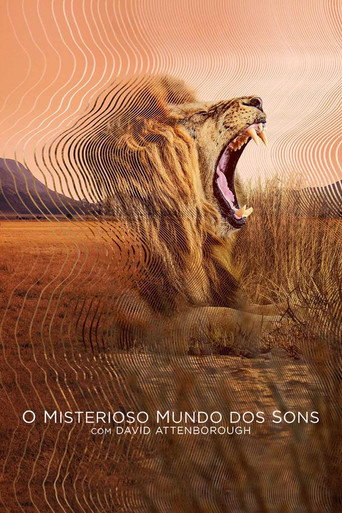 Assistir O Misterioso Mundo dos Sons online dublado e legendado