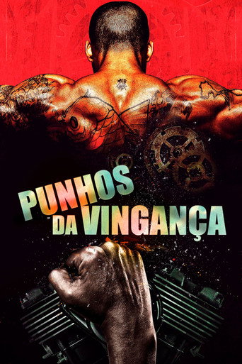Assistir Punhos da Vingança online dublado e legendado