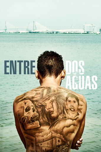 Assistir Entre Duas Águas online dublado e legendado