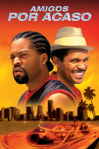 Poster de Amigos Por Acaso
