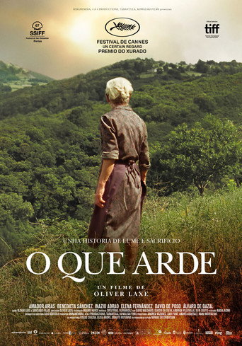 Poster de O que arde