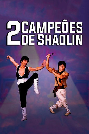 Assistir 2 Campeões de Shaolin online dublado e legendado