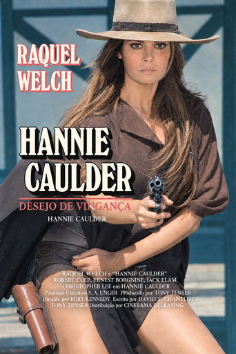 Poster de Desejo de Vingança