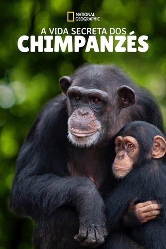 Assistir A Vida Secreta dos Chimpanzés online dublado e legendado