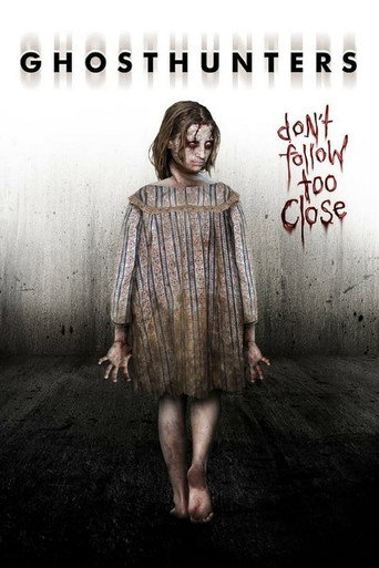 Assistir Os Caçadores de Fantasmas online dublado e legendado