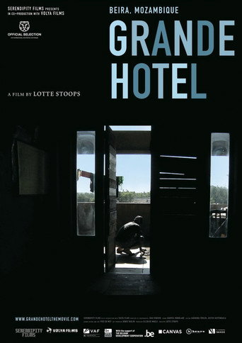 Assistir Grande Hotel online dublado e legendado