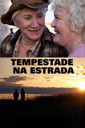 Assistir Tempestade na Estrada online dublado e legendado