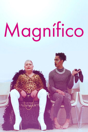 Assistir Magnífico online dublado e legendado