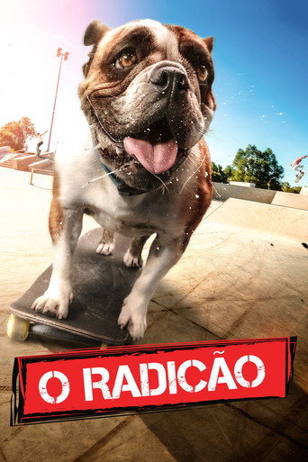 Assistir O Radicão online dublado e legendado