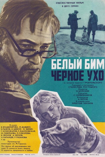 Assistir Белый Бим Чёрное ухо online dublado e legendado