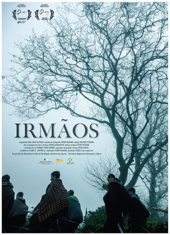 Assistir Irmãos online dublado e legendado
