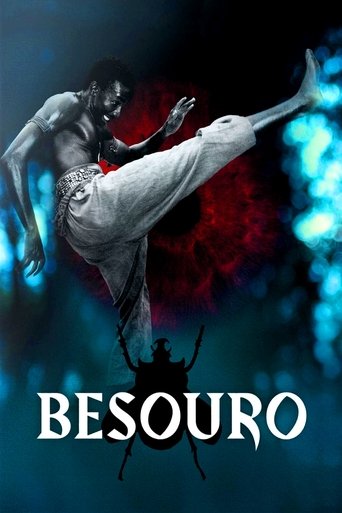Poster de Besouro