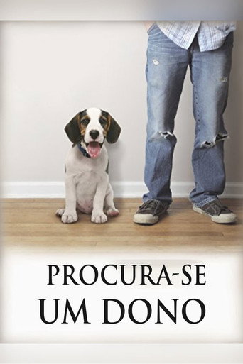Assistir Procura-se um dono online dublado e legendado