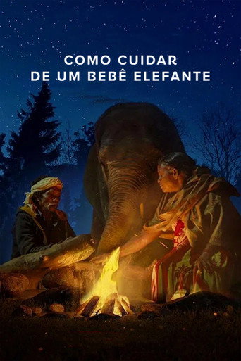Assistir Como Cuidar de um Bebê Elefante online dublado e legendado