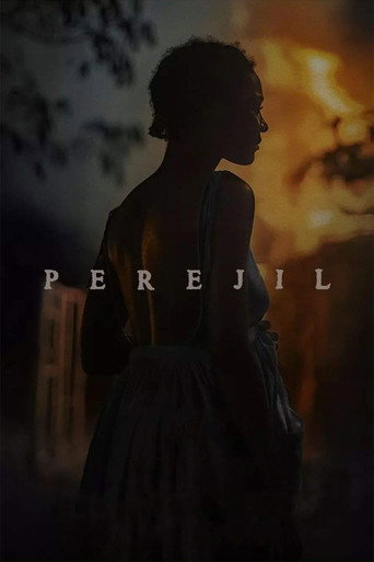 Assistir Perejil online dublado e legendado