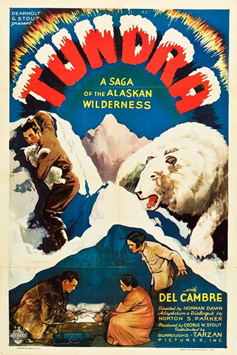 Assistir Tundra online dublado e legendado