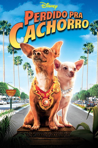 Assistir Perdido pra Cachorro online dublado e legendado