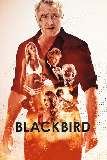 Assistir Blackbird online dublado e legendado