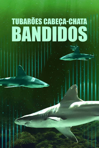 Assistir Tubarões Cabeça-Chata Bandidos online dublado e legendado
