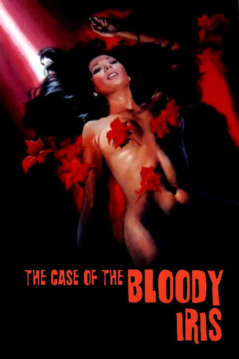 Poster de As Lágrimas de Jennifer