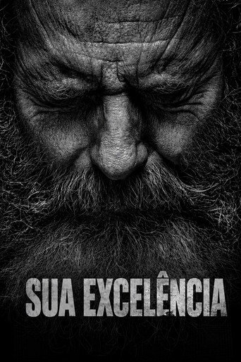 Poster de Sua Excelência
