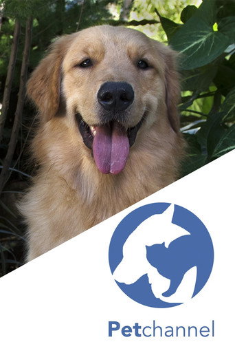 Assistir Pet Channel online dublado e legendado