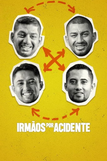 Assistir Irmãos por Acidente online dublado e legendado